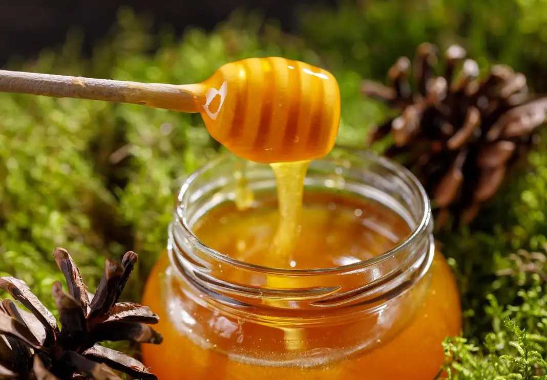 甜蜜革新，智造每一勺的優(yōu)雅：呂工機(jī)械編帶式勺裝<span style=